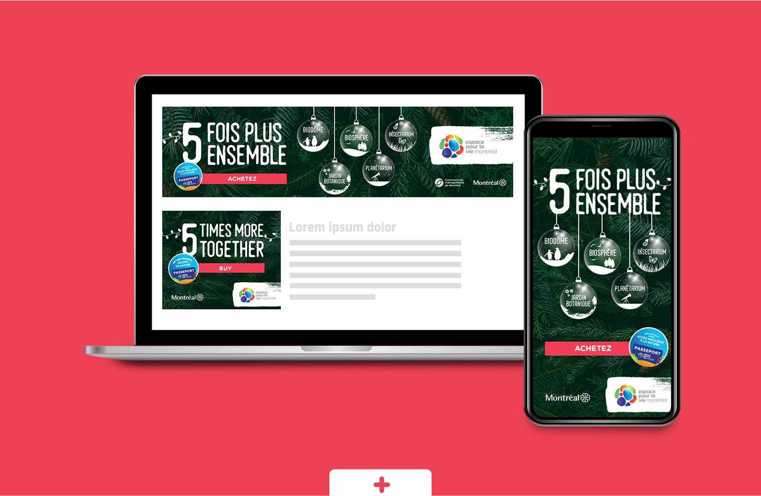 Création campagne numérique