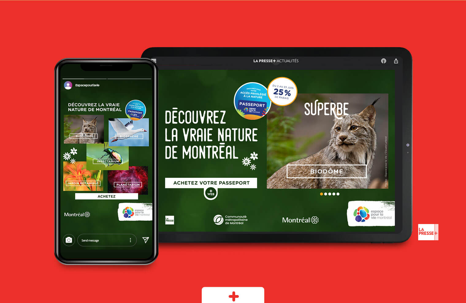 Animations HTML pour médias sociaux