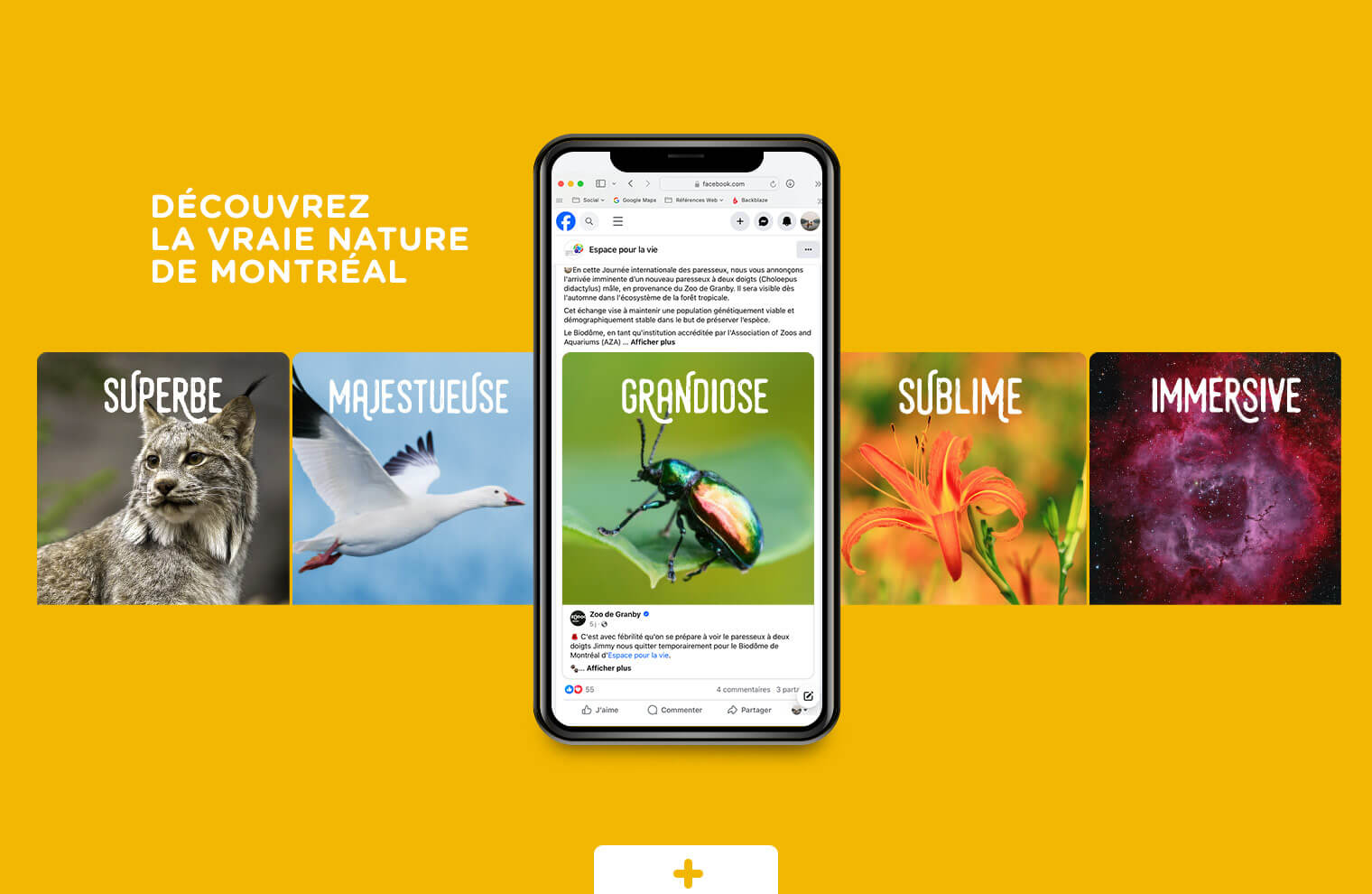 design graphique Facebook